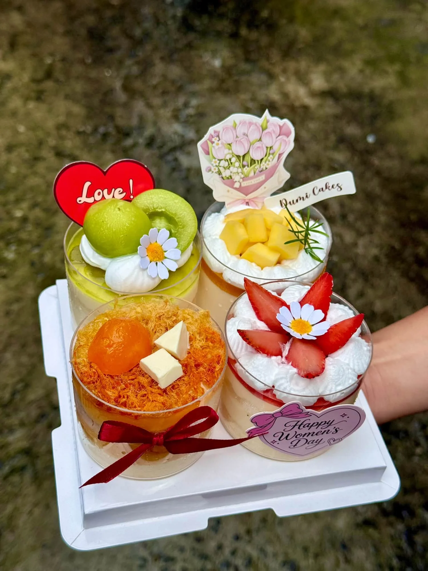 Mousse cake set – 150ml cup size 1