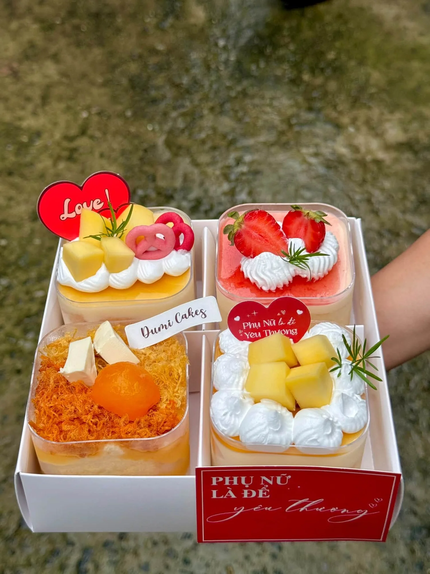 Mousse cake set – 150ml cup size 3
